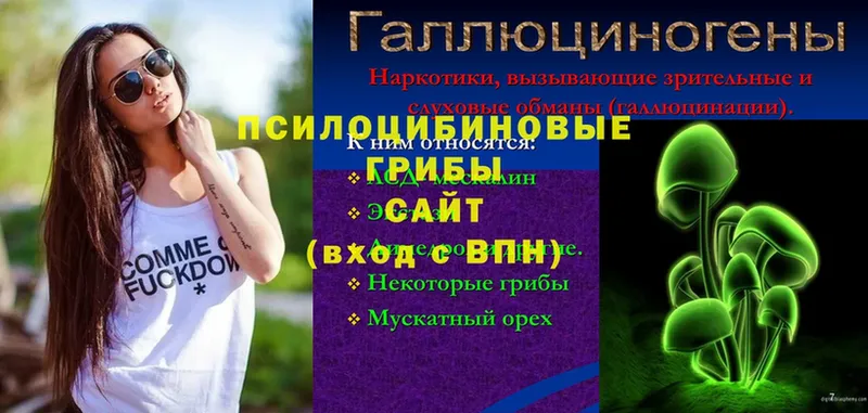 Псилоцибиновые грибы мухоморы  blacksprut tor  Мышкин 